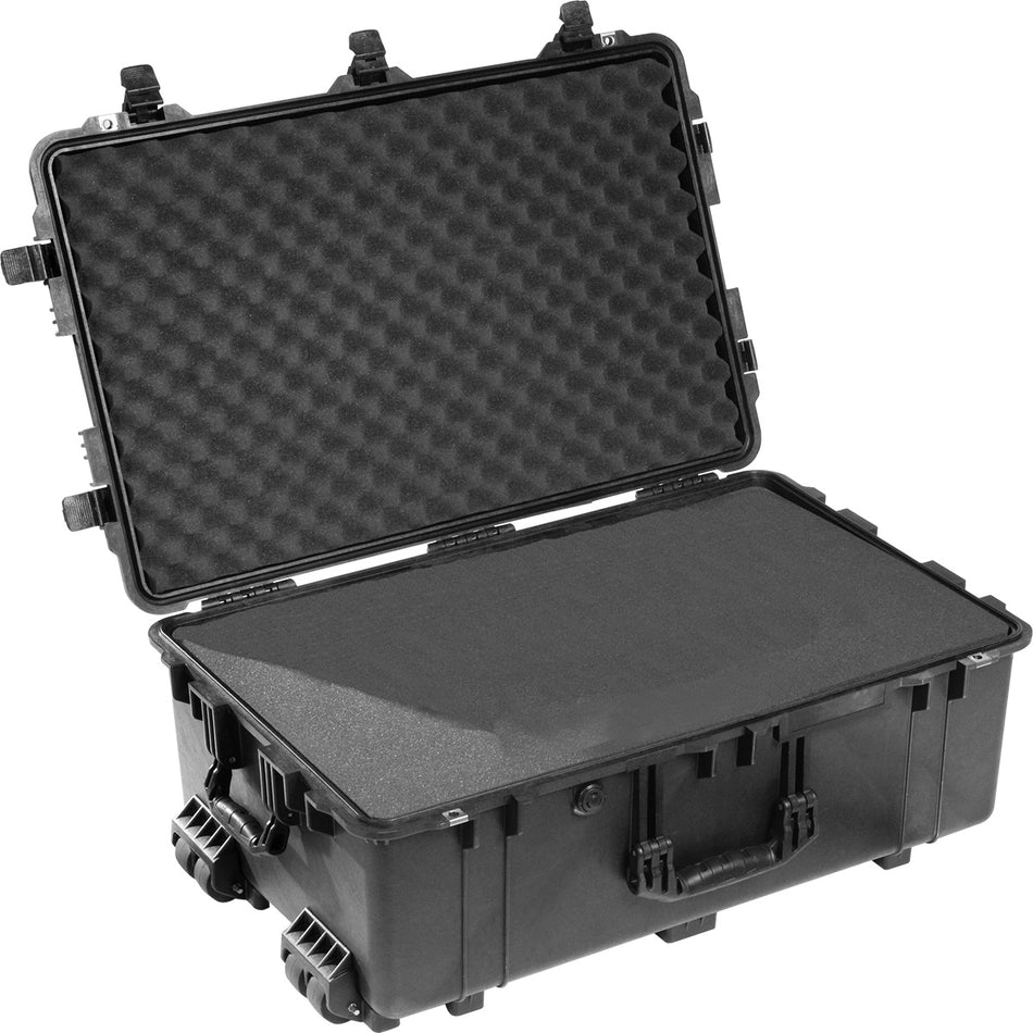 1650 Pelican Protector Case